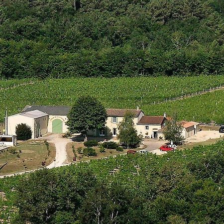 Отель Domaine De Grand Homme Бордо Экстерьер фото